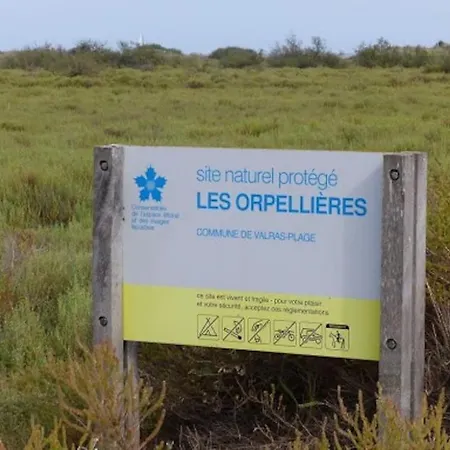 Domaine Des Lions - Maison De Vacances Charmante Pour 10P Avec Grand Jardin Prive Ferienhaus Sérignan