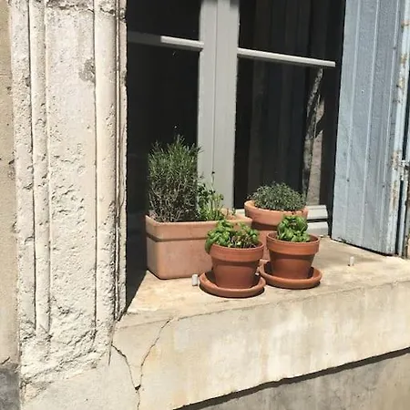 Domaine Des Lions - Maison De Vacances Charmante Pour 10P Avec Grand Jardin Prive Ferienhaus *