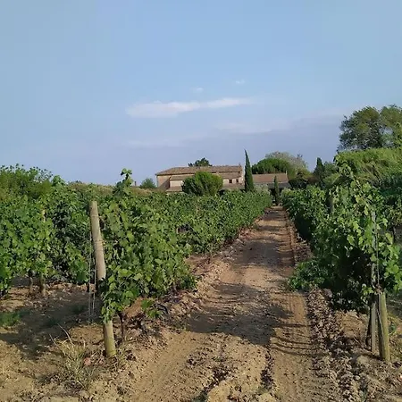 Domaine Des Lions - Maison De Vacances Charmante Pour 10P Avec Grand Jardin Prive *