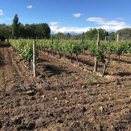Domaine Des Lions - Maison De Charmante à * Sérignan