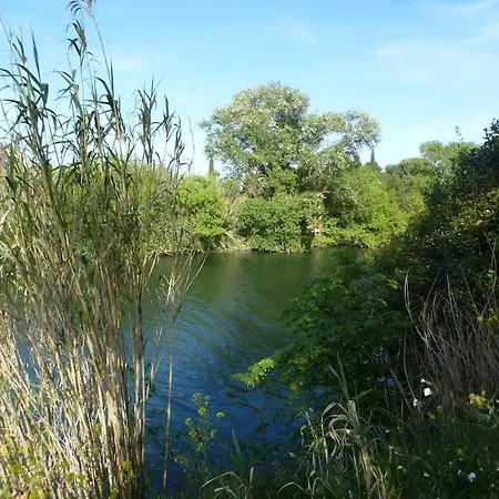 Domaine Des Lions - Maison De Charmante à
