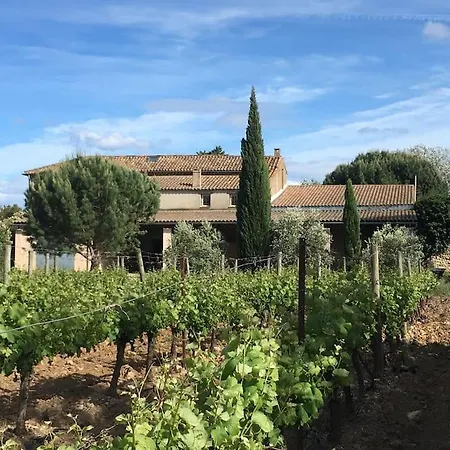 Domaine Des Lions - Maison De Vacances Charmante Pour 10P Avec Grand Jardin Prive *