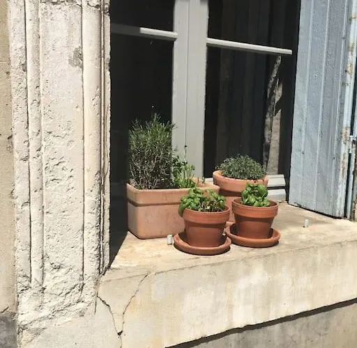 Domaine Des Lions - Maison De Charmante A Holiday home *