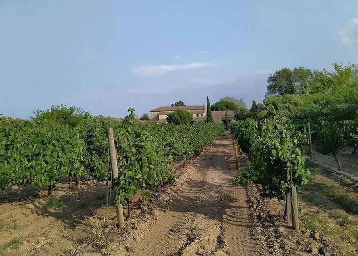 Domaine Des Lions - Maison De Charmante A *