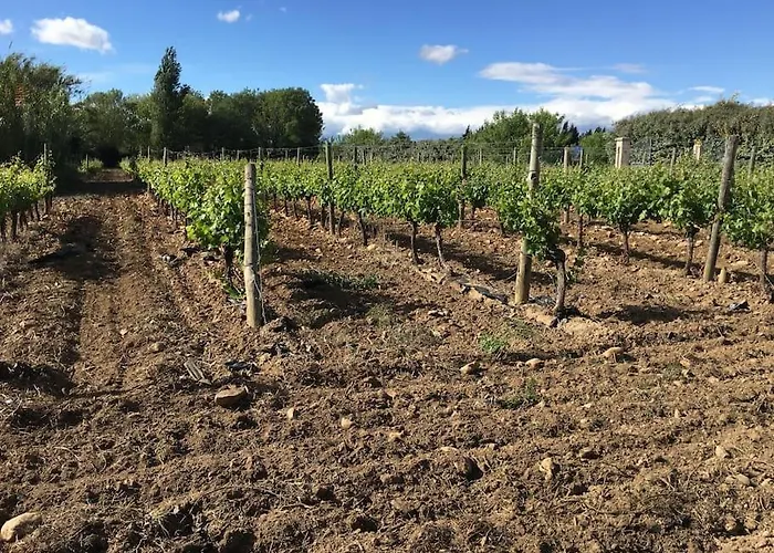 Domaine Des Lions - Maison De Charmante A * Serignan