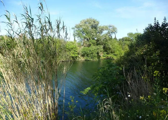Domaine Des Lions - Maison De Charmante A