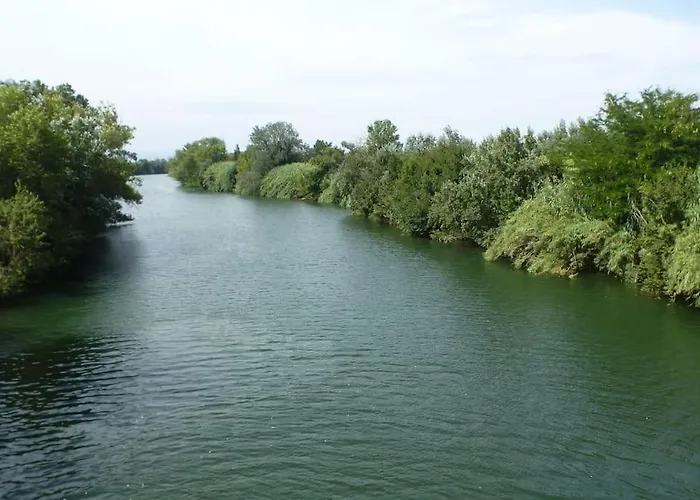 Domaine Des Lions - Maison De Charmante A Holiday home