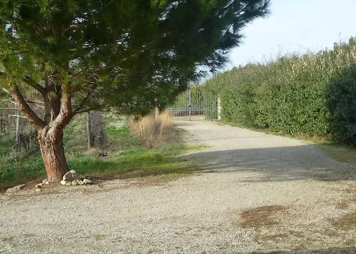 Domaine Des Lions - Maison De Charmante A Holiday home Serignan