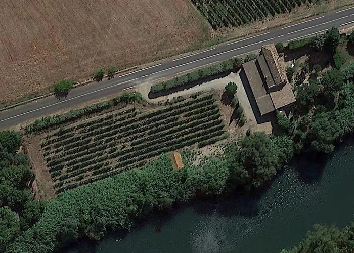 Domaine Des Lions - Maison De Charmante A Holiday home